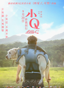消失的女人